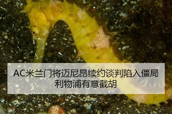 mi-lan-men-jiang-mai-ni-ang-xu-yue-tan-pan-xian-ru-jiang-ju-li-wu-pu-you-yi-jie-hu-3-992.jpg